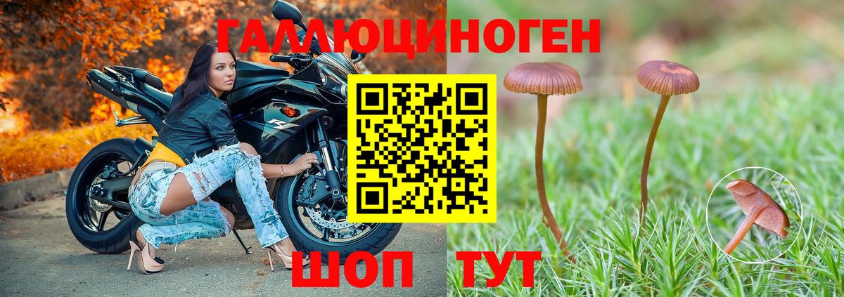 Галлюциногенные грибы Cubensis Новый Уренгой